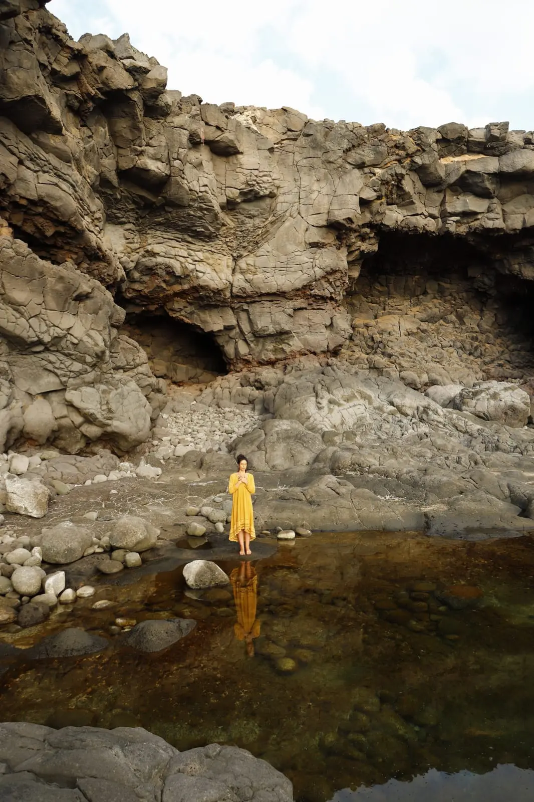 94e14b83 6483 4f3d a2c8 f1a25130d68b