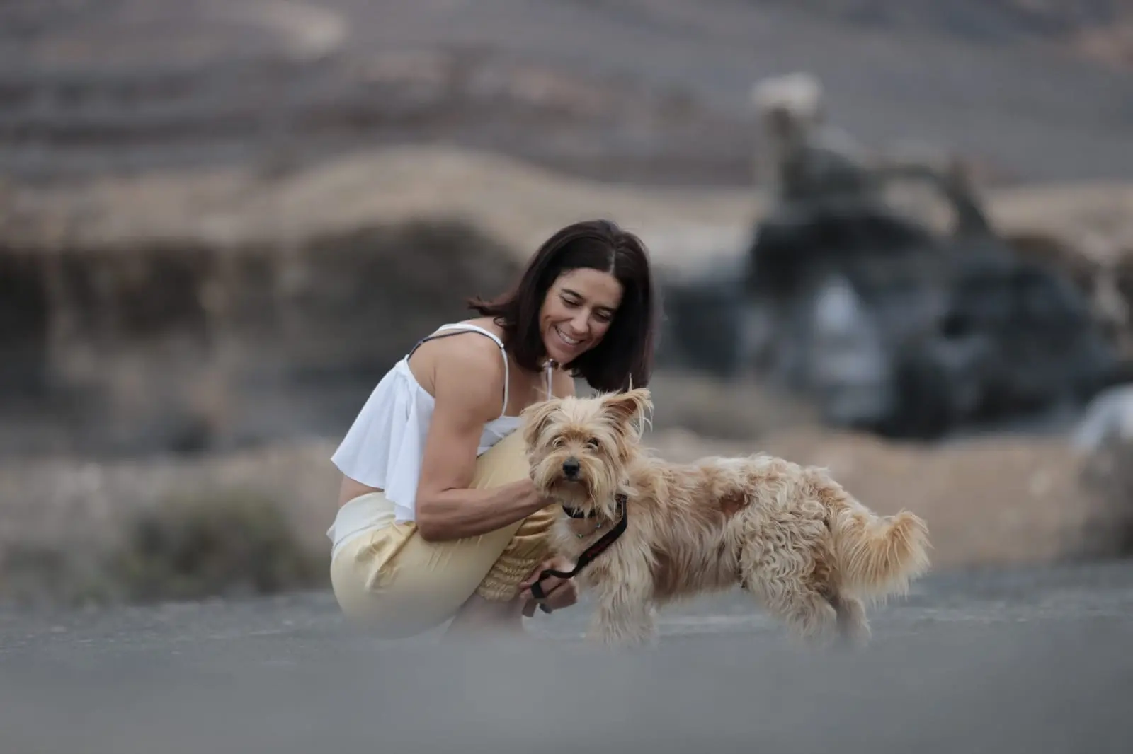 2963dbdc aa5c 4e4b 8b4f a037780ea064